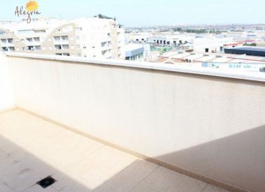 Apartments in Torrevieja (Costa Blanca), buy cheap - 76 900 [71692] 1