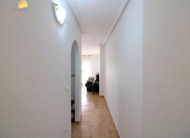 Apartments in Torrevieja (Costa Blanca), buy cheap - 55 500 [71690] 3