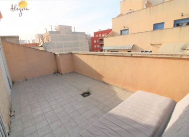Apartments in Torrevieja (Costa Blanca), buy cheap - 58 500 [71688] 5