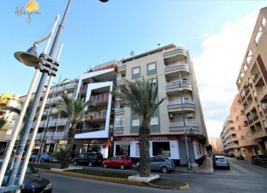 Apartments in Torrevieja (Costa Blanca), buy cheap - 79 900 [71673] 1