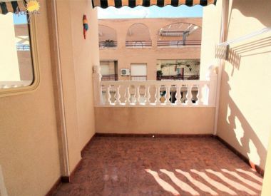 Apartments in Torrevieja (Costa Blanca), buy cheap - 79 900 [71673] 3