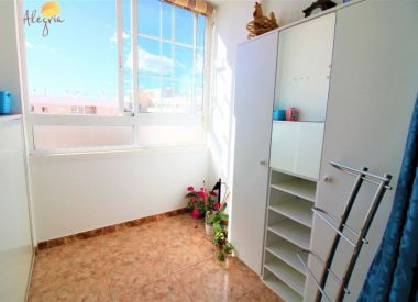 Apartments in Torrevieja (Costa Blanca), buy cheap - 69 900 [71672] 10