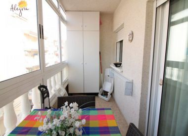 Apartments in Torrevieja (Costa Blanca), buy cheap - 86 900 [71667] 8