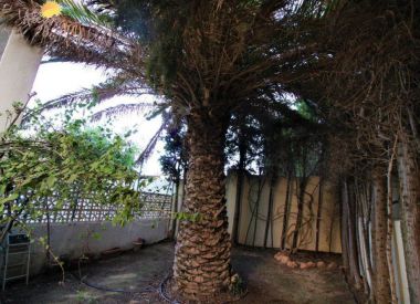 Townhouse in Torrevieja (Costa Blanca), buy cheap - 67 900 [71659] 10