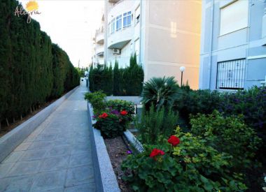 Townhouse in Torrevieja (Costa Blanca), buy cheap - 67 900 [71659] 3
