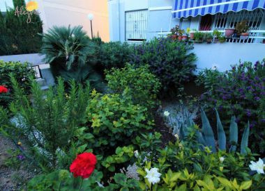 Townhouse in Torrevieja (Costa Blanca), buy cheap - 67 900 [71659] 4