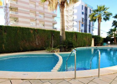 Townhouse in Torrevieja (Costa Blanca), buy cheap - 67 900 [71659] 6