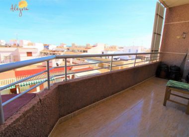 Apartments in Torrevieja (Costa Blanca), buy cheap - 62 900 [71658] 3