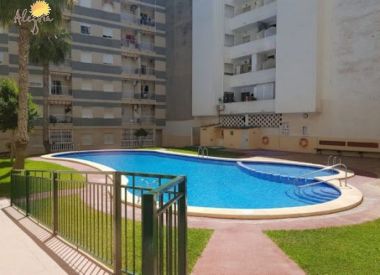 Apartments in Torrevieja (Costa Blanca), buy cheap - 67 900 [71657] 1