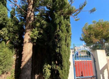 Townhouse in Torrevieja (Costa Blanca), buy cheap - 115 000 [71656] 4