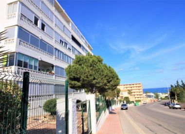 Apartments in Torrevieja (Costa Blanca), buy cheap - 72 000 [71632] 1