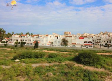 Apartments in Torrevieja (Costa Blanca), buy cheap - 55 500 [71629] 7