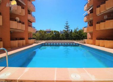 Apartments in Torrevieja (Costa Blanca), buy cheap - 68 900 [71628] 1