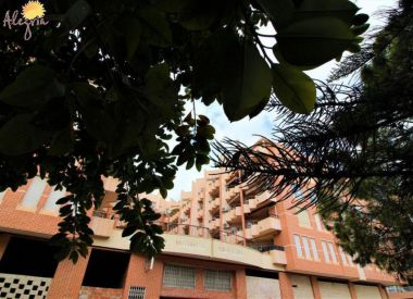 Apartments in Torrevieja (Costa Blanca), buy cheap - 68 900 [71628] 3
