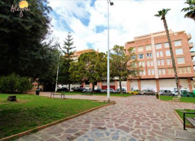 Apartments in Torrevieja (Costa Blanca), buy cheap - 68 900 [71628] 4
