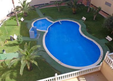 Apartments in Torrevieja (Costa Blanca), buy cheap - 63 500 [71606] 1
