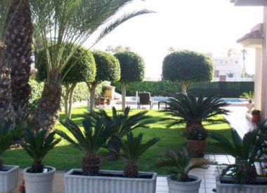 Villa in Torrevieja (Costa Blanca), buy cheap - 1 725 000 [71599] 3