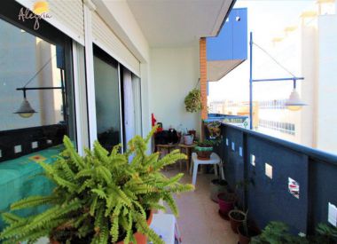 Apartments in Torrevieja (Costa Blanca), buy cheap - 119 900 [71568] 1