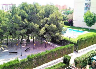 Apartments in Alicante (Costa Blanca), buy cheap - 113 000 [71235] 1