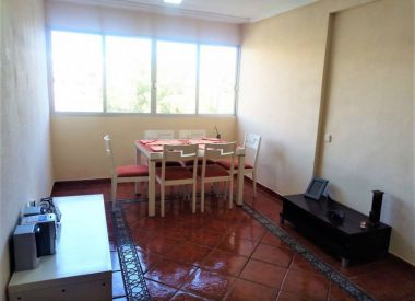 Apartments in Alicante (Costa Blanca), buy cheap - 60 000 [71219] 2