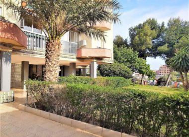 Apartments in Alicante (Costa Blanca), buy cheap - 103 000 [71200] 2