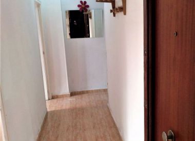 Apartments in Alicante (Costa Blanca), buy cheap - 65 000 [71176] 2