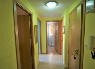 Apartments in Alicante (Costa Blanca), buy cheap - 64 900 [71136] 5