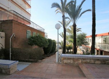 Apartments in Alicante ID:71111