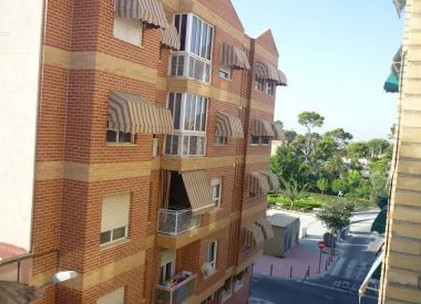 Apartments in Alicante ID:71956