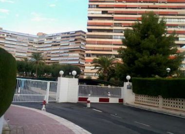 Apartments in Alicante ID:71953