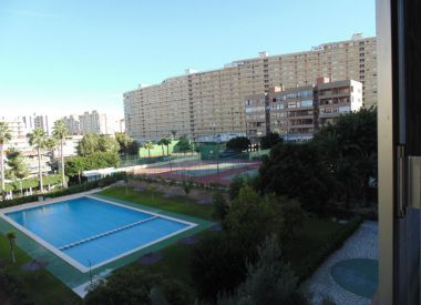 Apartments in Alicante ID:71952