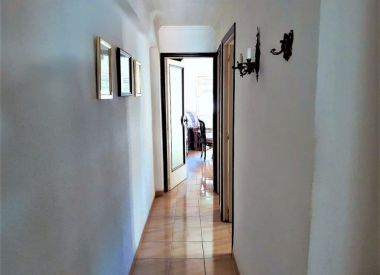 Apartments in Alicante (Costa Blanca), buy cheap - 55 000 [71914] 2