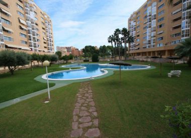 Apartments in Alicante ID:71910