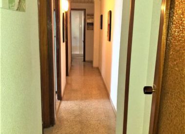 Apartments in Alicante (Costa Blanca), buy cheap - 86 000 [71871] 3