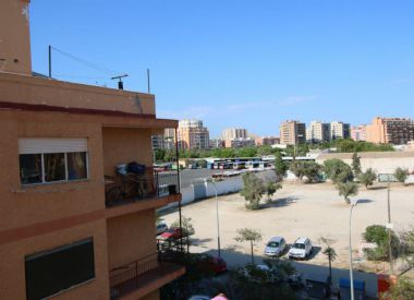Apartments in Alicante (Costa Blanca), buy cheap - 56 000 [71849] 1