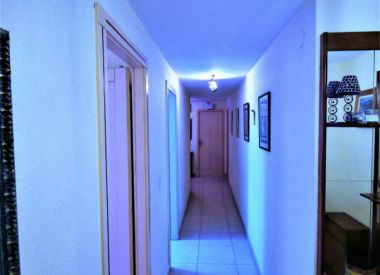 Apartments in Alicante (Costa Blanca), buy cheap - 110 000 [71838] 5