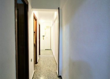 Apartments in Alicante (Costa Blanca), buy cheap - 67 000 [71810] 5
