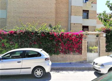 Apartments in Alicante ID:71809