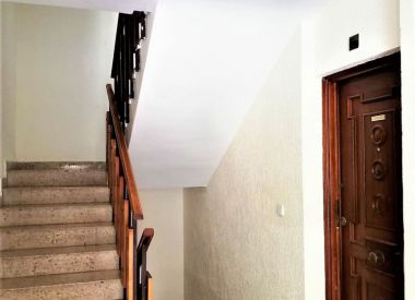 Apartments in Alicante (Costa Blanca), buy cheap - 60 000 [71809] 4