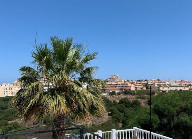 Townhouse in Torrevieja (Costa Blanca), buy cheap - 312 000 [72314] 6