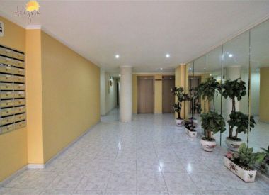 Apartments in Torrevieja (Costa Blanca), buy cheap - 54 500 [72299] 3