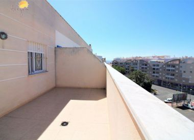 Apartments in Torrevieja (Costa Blanca), buy cheap - 76 900 [72294] 3