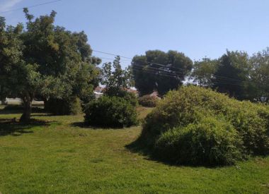 Townhouse in Torrevieja (Costa Blanca), buy cheap - 85 000 [72255] 4