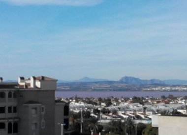 Apartments in Torrevieja (Costa Blanca), buy cheap - 69 900 [72213] 2