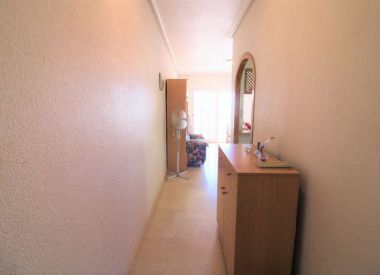 Apartments in Torrevieja (Costa Blanca), buy cheap - 56 900 [72195] 4