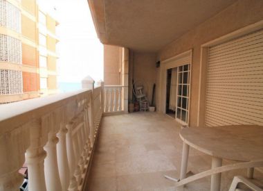 Apartments in Torrevieja (Costa Blanca), buy cheap - 139 900 [72174] 9