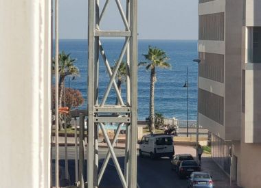 Apartments in Torrevieja (Costa Blanca), buy cheap - 129 900 [72159] 1