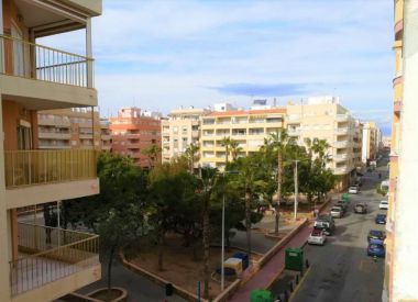 Apartments in Torrevieja (Costa Blanca), buy cheap - 76 900 [72145] 1