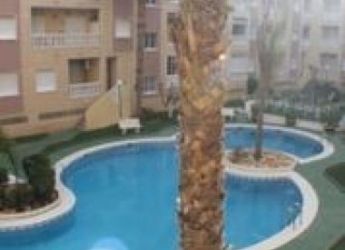 Apartments in Torrevieja (Costa Blanca), buy cheap - 68 000 [72130] 1
