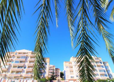 Apartments in Torrevieja (Costa Blanca), buy cheap - 99 900 [72126] 4